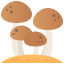 Mushrooms